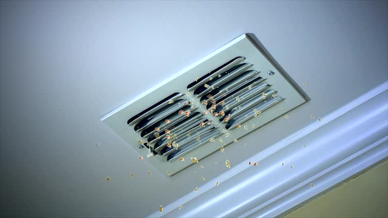 Best Air Duct Cleaning Cost  in Torrance, CA